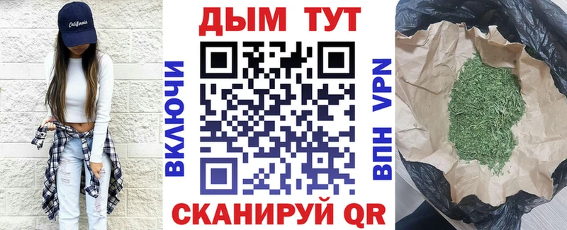 Конопля гибрид  магазин продажи   Бузулук 